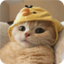 游戏交流