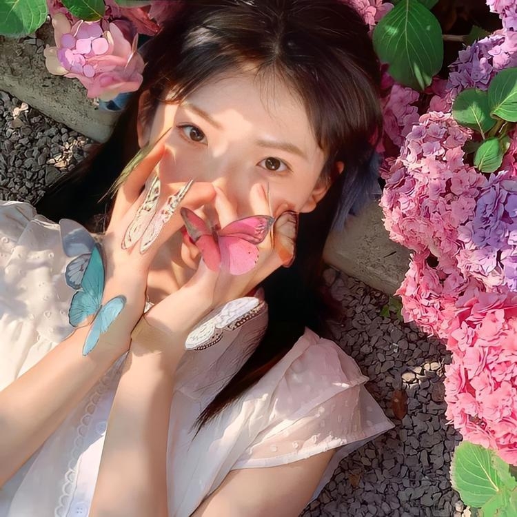 手机美化