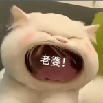 灵惜